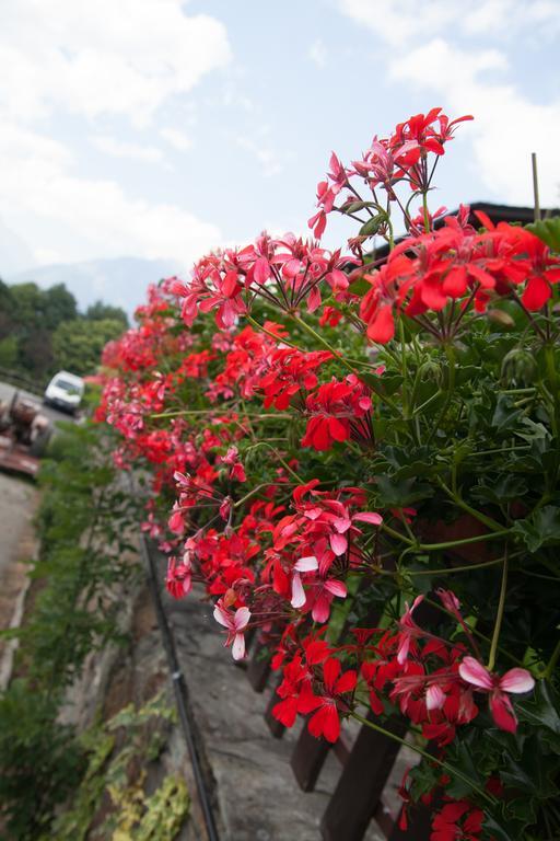 Вилла Agriturismo Al Castagneto Mazzo di Valtellina Экстерьер фото