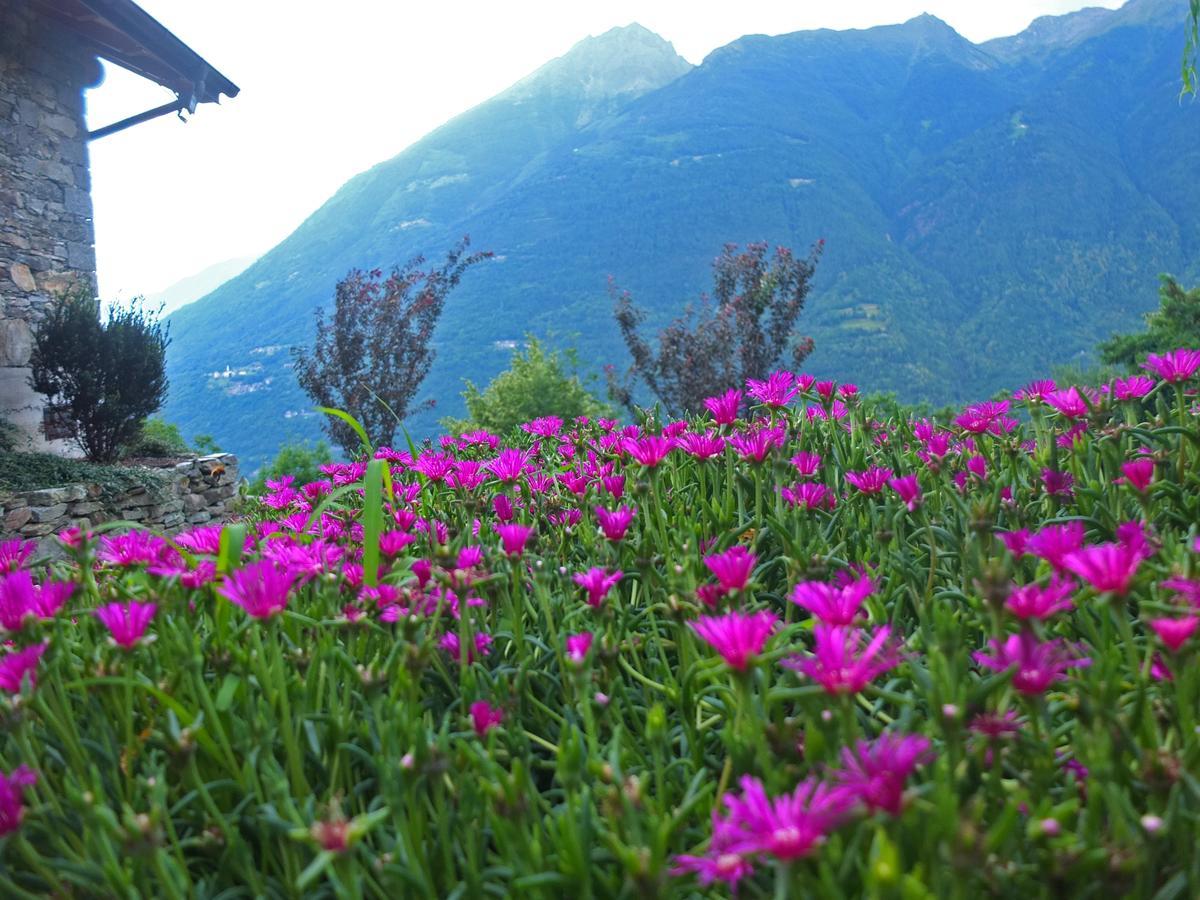 Вилла Agriturismo Al Castagneto Mazzo di Valtellina Экстерьер фото