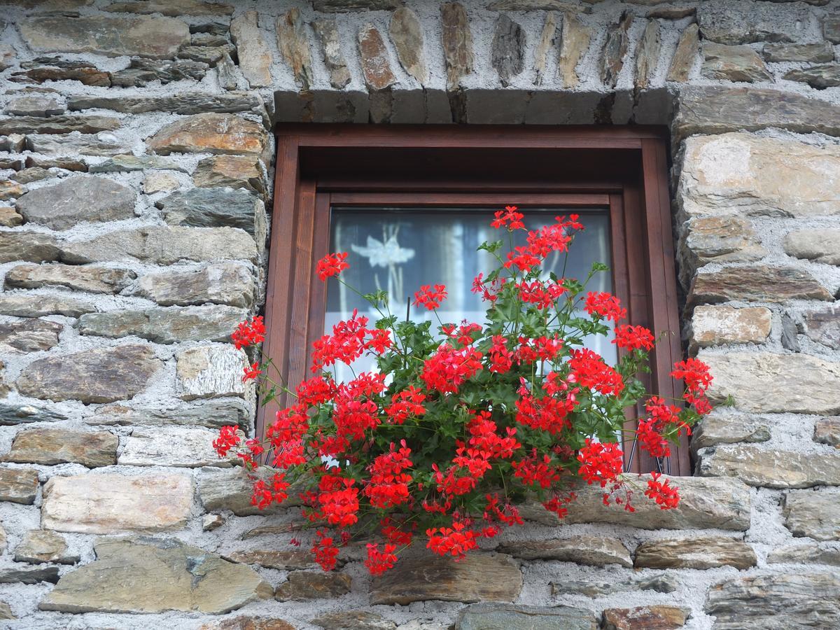 Вилла Agriturismo Al Castagneto Mazzo di Valtellina Экстерьер фото